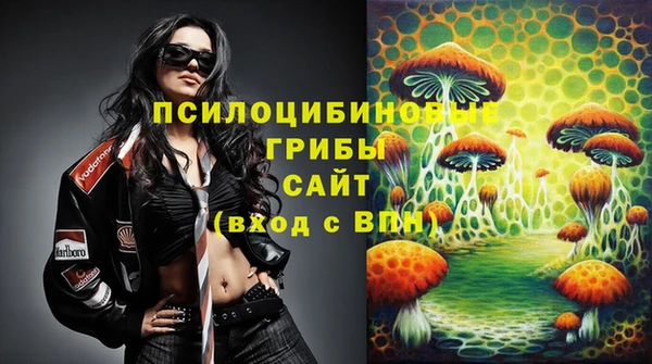 каннабис Коряжма