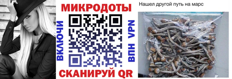 Псилоцибиновые грибы ЛСД  цены наркотик  omg рабочий сайт  Астрахань 