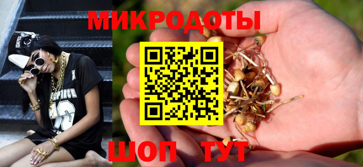 Псилоцибиновые грибы прущие грибы Астрахань