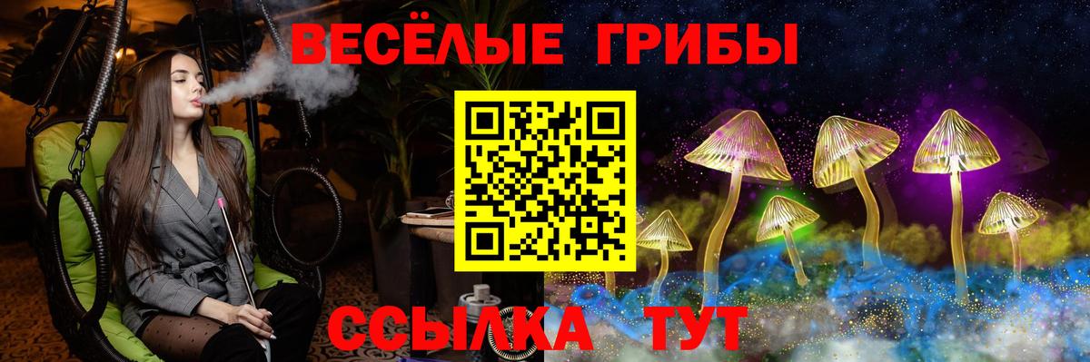 Галлюциногенные грибы Psilocybe  Вход с VPN  Астрахань 